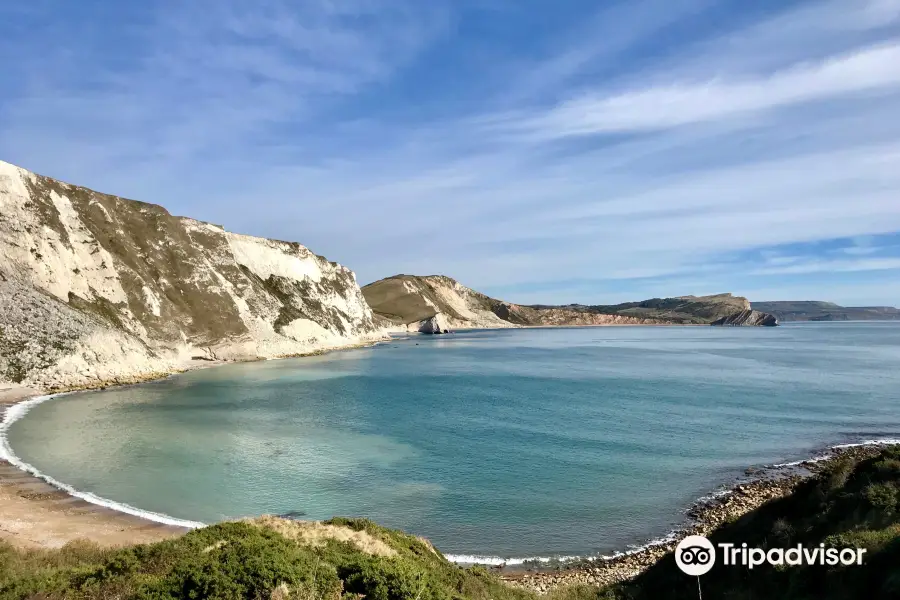 South West Coast Path- Lulworth Cove & The Fossil Forest Walk