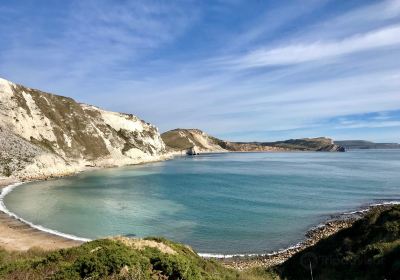 South West Coast Path- Lulworth Cove & The Fossil Forest Walk
