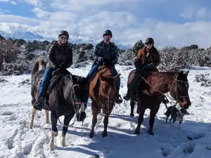 KB HORSES at Red Ledges