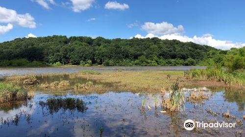 Chattahoochee River National Recreation Area - Island Ford