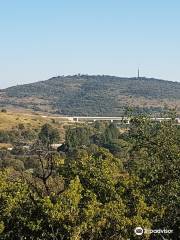 Groenkloof Nature Reserve