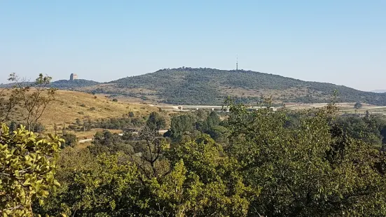 Groenkloof Nature Reserve