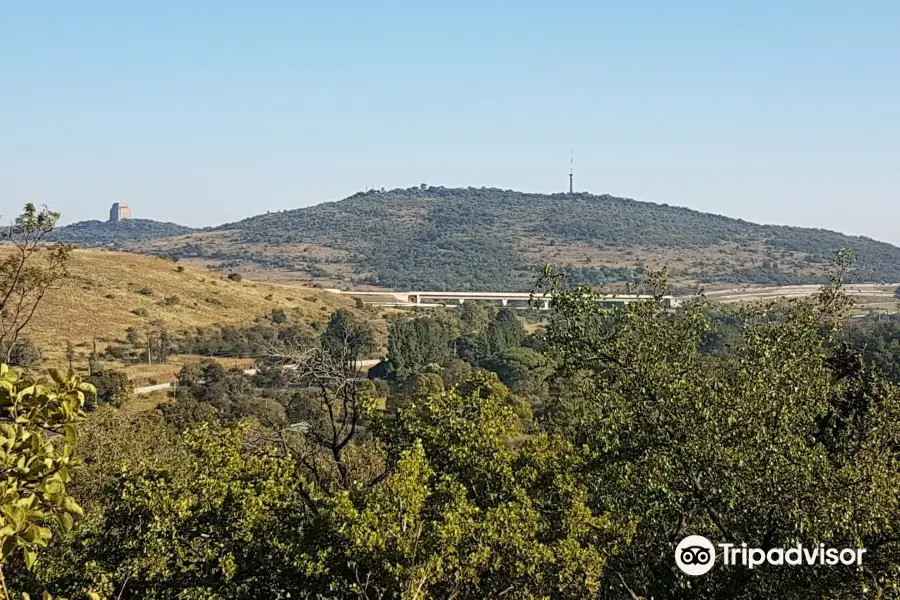 Groenkloof Nature Reserve