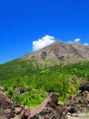 Arimura Lava Observation Deck