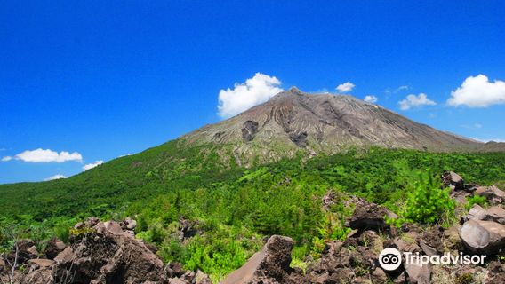 Arimura Lava Observation Deck