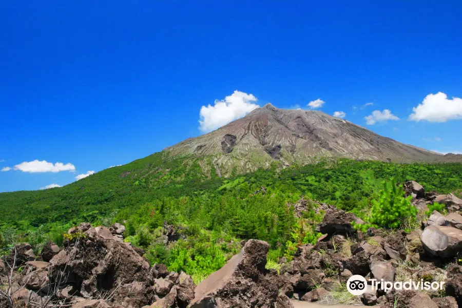 Arimura Lava Observation Deck