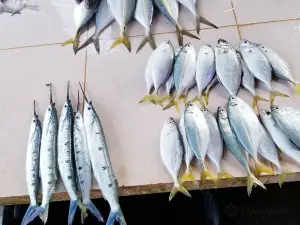 Jaffna Market