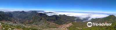PR 1.2 Vereda do Pico Ruivo