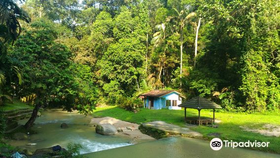 Ampang Recreational Forest