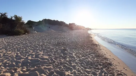 Spiaggia di San Pietro in Bevagna