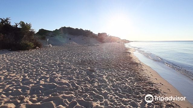 Spiaggia di San Pietro in Bevagna