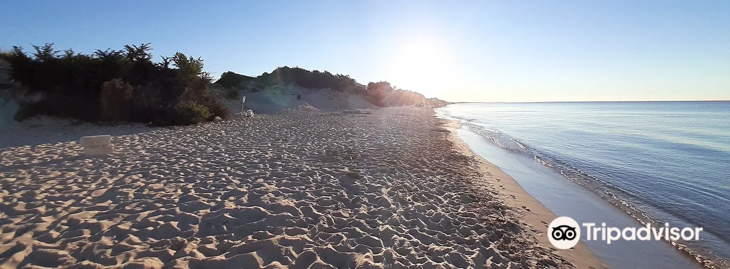 1_Spiaggia di San Pietro in Bevagna