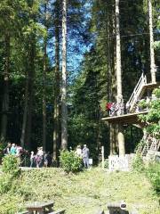 Grizedale Forest