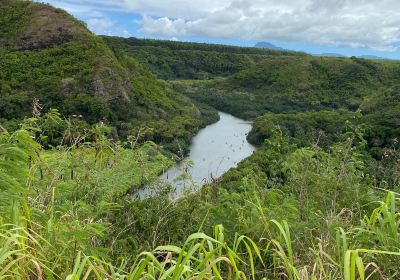 Ho'opi'i Falls