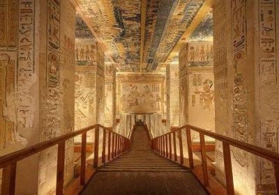 The Museum of Egyptian Antiquities