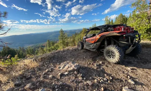 Dodge Ridge Mountain Resort