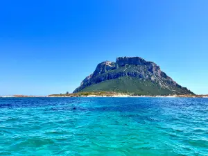 DST Sardegna - Diving & Snorkeling Team