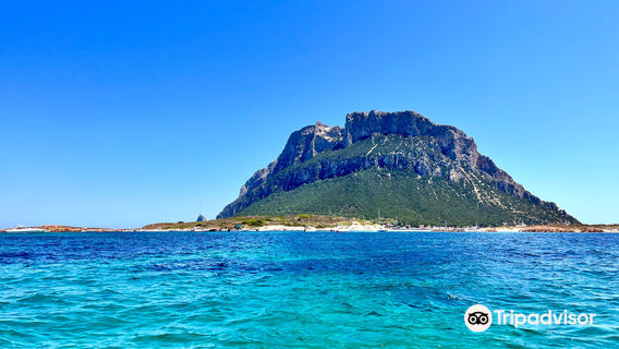 DST Sardegna - Diving & Snorkeling Team