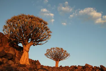 Keetmanshoop