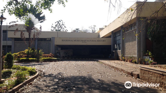 Regional Museum of Natural History Mysuru