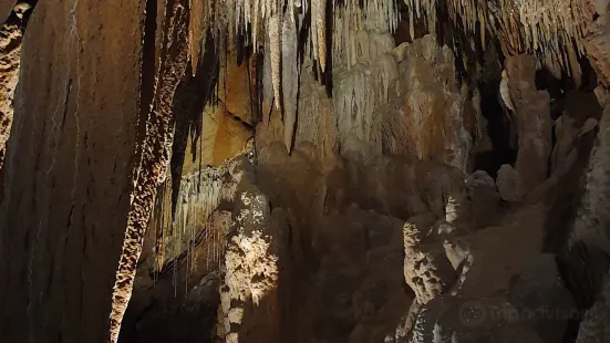 King Solomons Cave