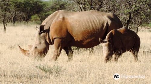 Mokala National Park