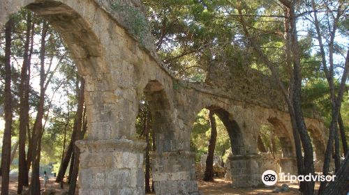 Phaselis Ancient City