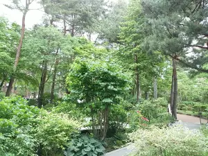 Kantenpapa Garden