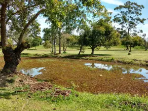 Marinha do Brasil park