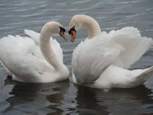 Dinton Pastures Country Park