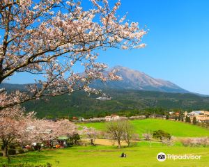 香港-都城市 機票酒店 自由行
