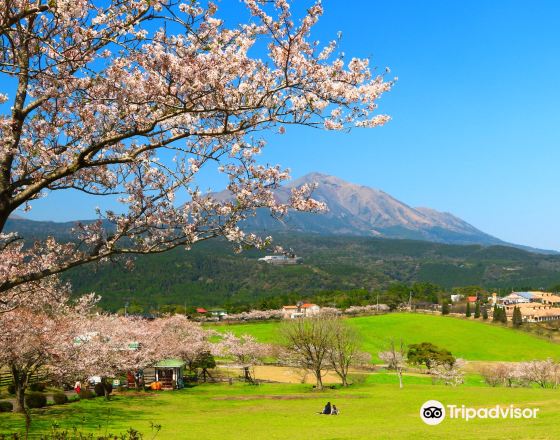都城市 自由行套票