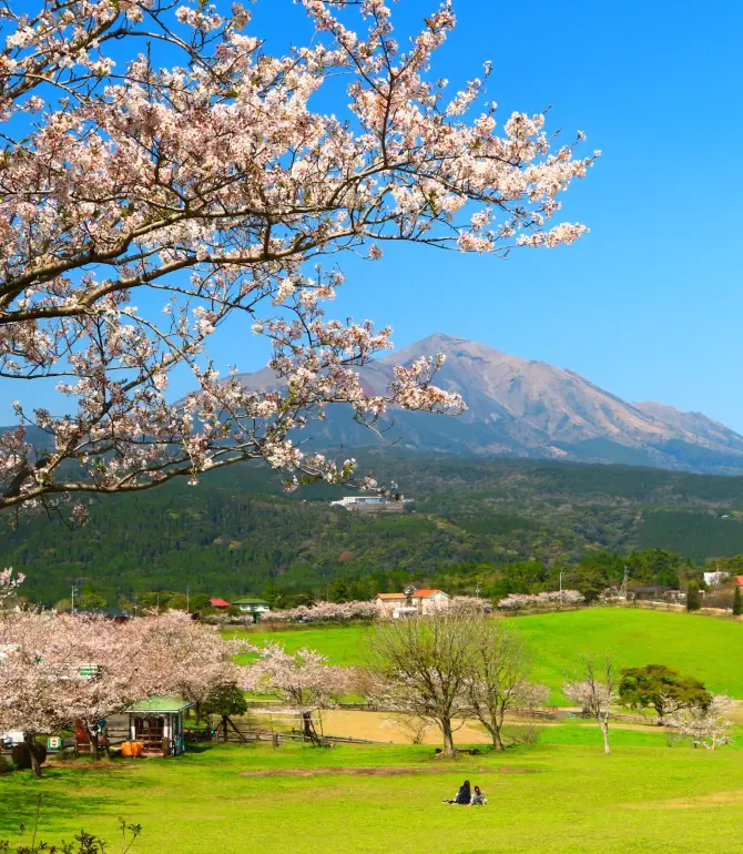 Miyakonojo