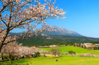 Miyakonojo