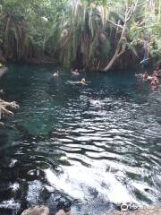 Kikuletwa Hotsprings