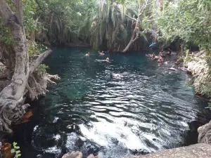 Kikuletwa Hotsprings