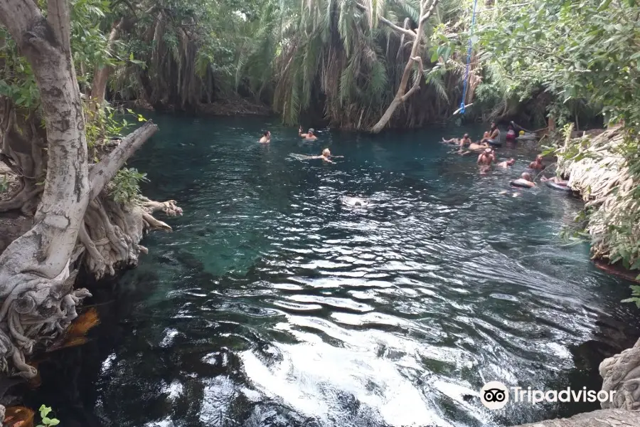 Kikuletwa Hotsprings