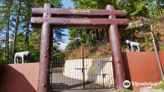 Royal Takin Preserve