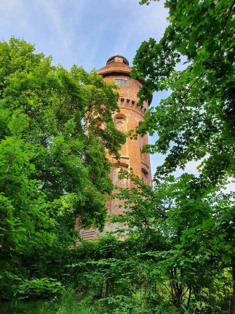 Các khách sạn ở Baltiysky District