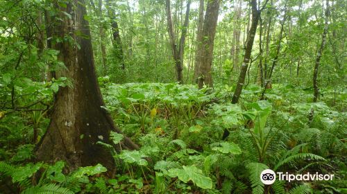 Veuve Nature Reserve