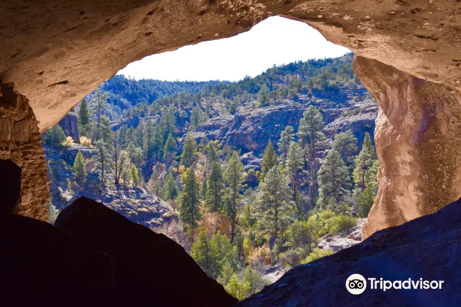 Gila Cliff Dwellings National Monument