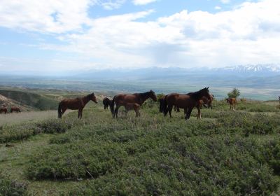 Karakol Gorge