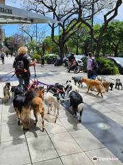 Buenos Aires Free Walks