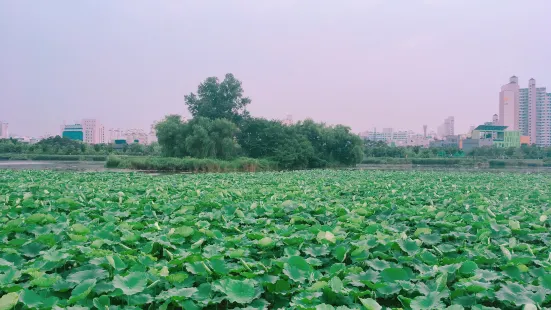 만석공원