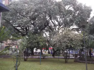 Praça da Matriz