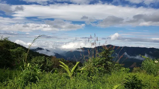 Doi Phu Kha Viewpoint