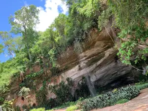 Palhares Cave Municipal Park