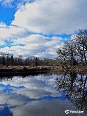 Selkirk Shores State Park