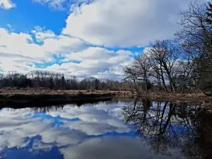 Selkirk Shores State Park