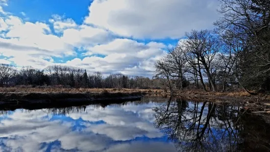 Selkirk Shores State Park